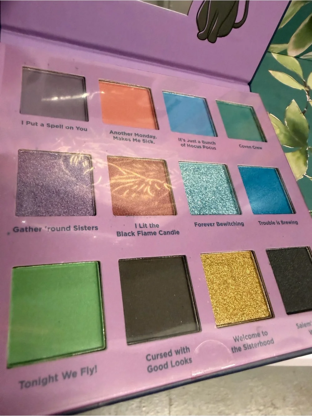 Taste Beauty brand new